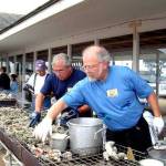 Photo Courtesy of Westport Chamber of Commerce | File Photo
From oysters to freshly caught fish, event organizers can be found lined up in the marina cooking up varieties of different seafood dishes on Saturday, Sept. 3, 2022, at the 75th annual Seafood Festival from noon to 5 p.m., in Westport.