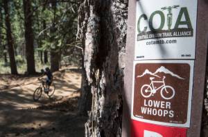 Ryan Brennecke The Bulletin | TNS
A mountain biker makes their way down a section of Lower Whoops Trail.