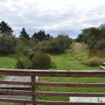 The North End Grand Canal Park features a grass walking trail, picnic tables and benches near the northernmost tip of the Grand Canal. (Clayton Franke | The Daily World)