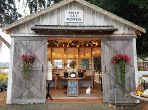 Set near a beautiful rural farmhouse, visitors will have an opportunity to peruse a vast swath of vintage artifacts and antique items during the three-day Fall Vintage & Antique Market event hosted by Lavender & Fir Roadside Market, in Montesano. The event begins Friday, Sept. 30, and will run through Sunday, Oct. 2. (Allen Leister | The Daily World)