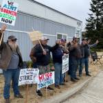 Michael S. Lockett / The Daily World
Union members picket against Weyerhaeuser near the companys South Aberdeen facility on Tuesday.