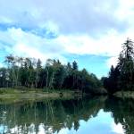 Michael S. Lockett / The Daily World 
The breach in the line of pilings to reopen an existing waterway that was blocked off is clearly visible off the Hoquiam River.