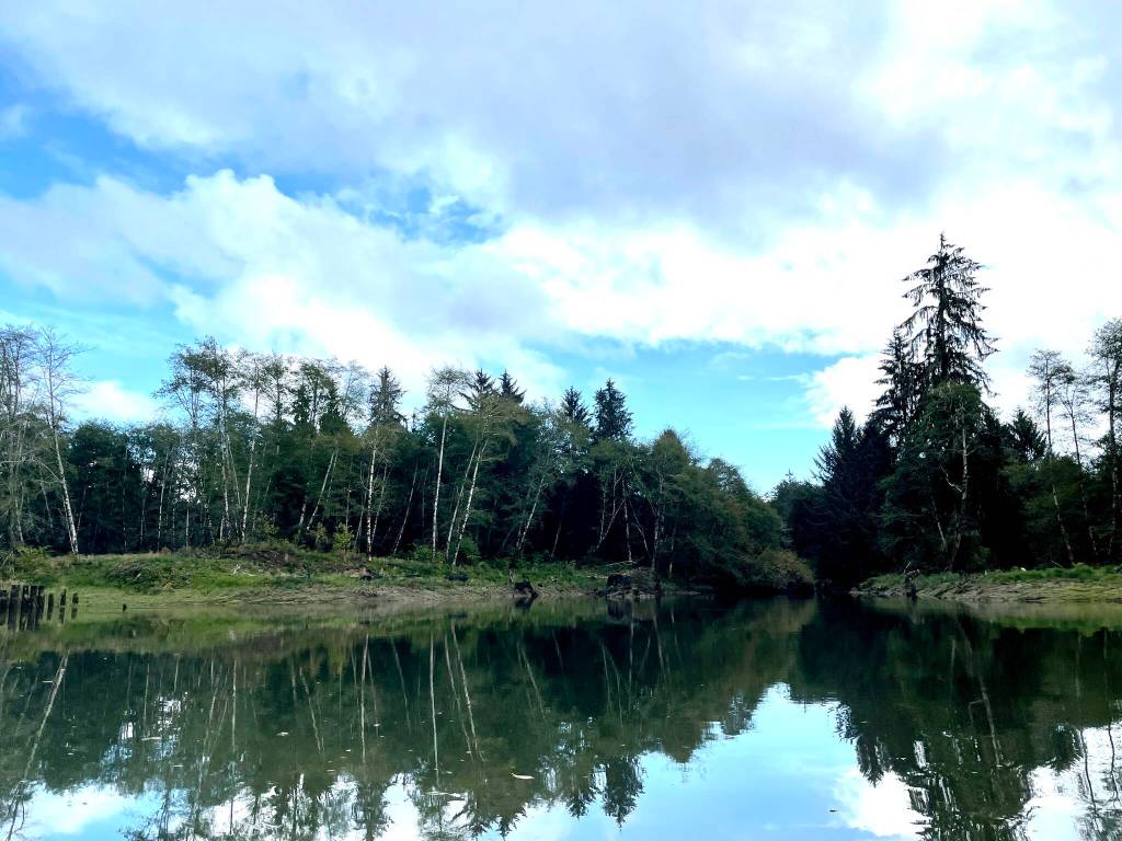 Michael S. Lockett / The Daily World 
The breach in the line of pilings to reopen an existing waterway that was blocked off is clearly visible off the Hoquiam River.