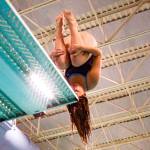 CARLY GILES | PINK FIN PHOTOGRAPHY Aberdeens Saylor Heikkila competes in the 1-meter diving competition at a meet against Tumwater on Wednesday at the Grays Harbor YMCA in Hoquiam.