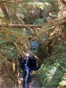 Quinault creek located just east of the Quinault Reservation has its name changed to the Noskeliikuu.