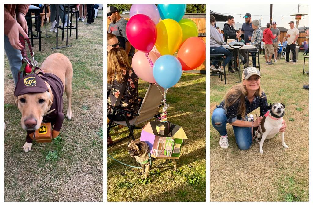 PAWS of Grays Harbor
The winners of the costume contest proudly pose at the Pints for Paws fundraiser. Organizers are still tallying the proceeds, but say theyre optimistic the money raised will exceed their expectations.