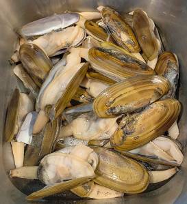 Razor clams on Kalaloch beach won' be harvestable for the 2022-2023 season.
The Daily World file photo