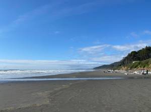 An ocean view taken between Tahola and Kalaloch along the Quinault Reservation Anna Vallery / Coastal Observation and Seabird Survey Team