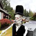 Matthew N. Wells / The Daily World
A skeleton hearse driver navigates through the front yard of Dennis and Michelle Bemis home in the 1000 block of Fairway Drive, while the skeleton drivers deceased passenger drags behind and screams in silent terror.