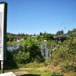 Matthew N. Wells / The Daily World 
This view from Kurt Cobain Memorial Park shows a view of Young Street Bridge from just south of the bridge. Young Street Bridge will be replaced in the next few years as the city of Aberdeen recently received $25 million to replace the 66-year-old bridge. Nick Bird, engineer for the city of Aberdeen, said the citys intent is to construct a temporary structure for traffic to use during construction  to the east of the existing structure, which would allow for the removal and replacement of the existing bridge. Bird said with that approach there should be minimal impacts to the park, however, it is too early to confirm that definitively.