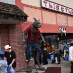 While many businesses in Elma set up their own unique scarecrow, none drew as much attention from the crowd as the animatronic werewolf set up outside This & That did during the Elma Fall Festival on Halloween, in Elma. (Allen Leister / The Daily World)