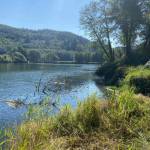 WDFW 
The Washington Department of Fish and Wildlife is considering granting funds to expand water access just south of Montesano on the Chehalis River.