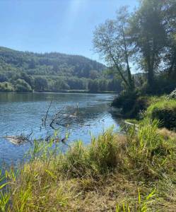 WDFW 
The Washington Department of Fish and Wildlife is considering granting funds to expand water access just south of Montesano on the Chehalis River.