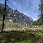 The East Fork Quinault River Trail is one of the most popular trails on the south portion of Olympic National Park and hundreds of hikers visit Enchanted Valley to take in the tremendous views and see the chalet each year. Missing hiker Laura Macke had a backcountry permit to travel through Enchanted Valley.