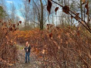 Kiley Smith, the Grays Harbor County Weed Board coordinator, stands on the path at "knotweed alley" near the confluence of the Satsop and Chehalis rivers. (Clayton Franke / The Daily World)