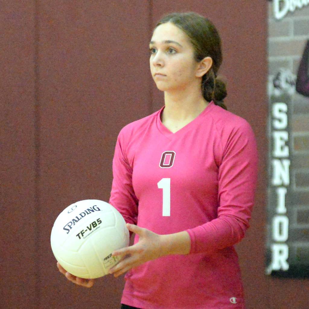 Ocostas Noel Cuzdey