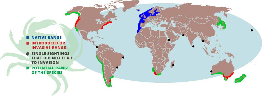 NOAA Alaska Region Fisheries 
Range map of invasive green crab (Carcinus maenas).
