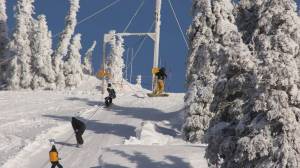 Olympic National Park 
The Hurricane Ridge shuttle will beef up its operations this winter, running a 28-person coach bus once daily on Saturdays and Sundays from Jan. 7 to March 26.