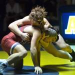RYAN SPARKS / THE DAILY WORLD Aberdeen junior Michael Leontyev, top, drives into Hoquiam sophomore Brannon Gonzalez during the 145-pound match of the Bobcats 63-18 dual-meet victory on Tuesday in Aberdeen.