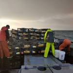 Courtesy photo / Robert Mirante
Fisherman stack pots during a previous Dungeness crab season.