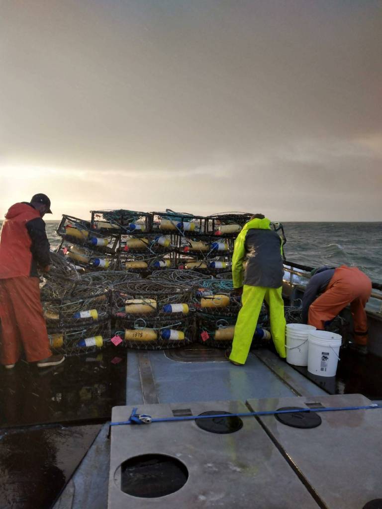 Courtesy photo / Robert Mirante
Fisherman stack pots during a previous Dungeness crab season.