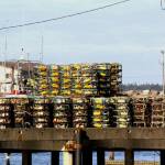 Michael S. Lockett / The Daily World
Crab pots line the piers, ready for loading for the season for Dungeness crab draws near.