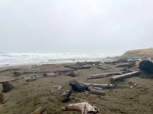 Michael S. Lockett / The Daily World 
Flotsam litters the beach in Ocean Shores during a winter storm on Dec. 27.