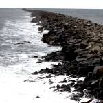 The Port of Grays Harbor recently announced a second and soon a third new pilot for the port as the organization looks to expand operations in the county. (Michael S. Lockett / The Daily World)