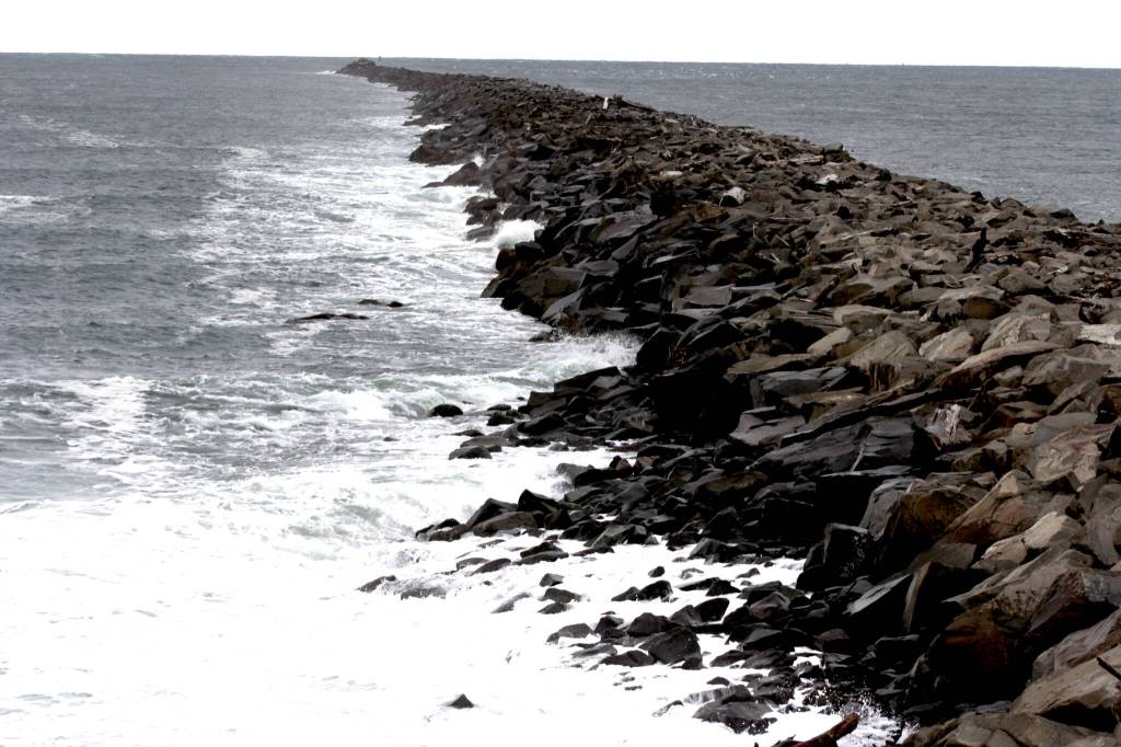 The Port of Grays Harbor recently announced a second and soon a third new pilot for the port as the organization looks to expand operations in the county. (Michael S. Lockett / The Daily World)