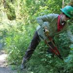 Yiting Lim / Special to The Seattle Times 
Seattle resident Julie Nicol trims back the brush that can grow over the trail along the Lower South Fork Skokomish River on the Olympic Peninsula.