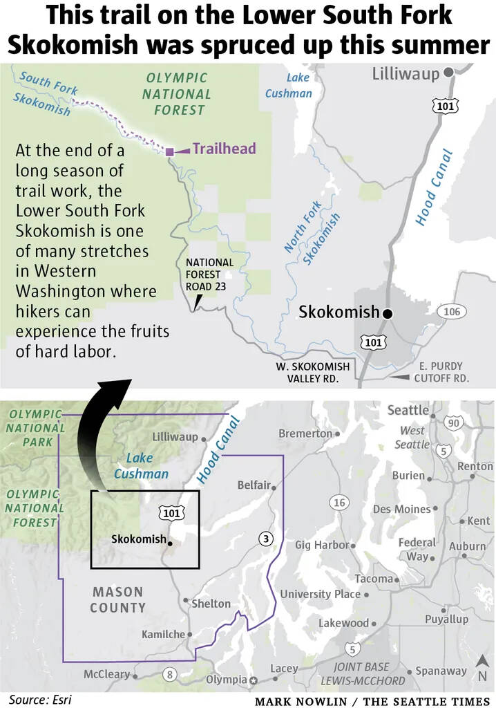 Hike The Reworked Lower South Fork Skokomish In The Olympics The 31545476 Web1 230112 ADW Hiking Trail 3 