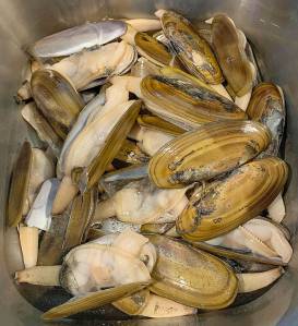 A three-day razor clam dig starts Saturday at Copalis.
(The Daily World file photo)