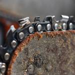 Clayton Franke / The Daily World
A group of carvers worked together to carve the bear leading up to Saturdays festival. The bear was a tribute to several local carvers who recently passed away.