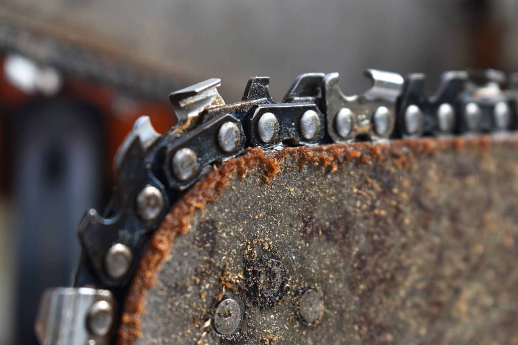 Clayton Franke / The Daily World
A group of carvers worked together to carve the bear leading up to Saturdays festival. The bear was a tribute to several local carvers who recently passed away.