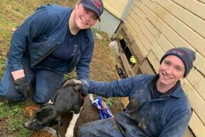Hoquiam firefighter Eli Fox, right, and Capt. Larissa Rohr, left, were able to free Hero, the puppy, center, after he became stuck in a crawlspace. (Courtesy photo / Hoquiam Fire Department)