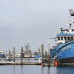 Michael S. Lockett / The Daily World
A fishing vessel sits alongside an empty slip at Westport Marina on March 1. The marina is working its way through planning a modernization process to accommodate modern vessels, which are larger than the docks built in the 80s were designed for.