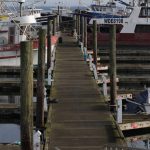 Photos by MIchael S. Lockett / The Daily World
The complete replacement of Float 21 is the first phase of construction for the Westport Marinas modernization plan, aiming to begin construction in several years.
