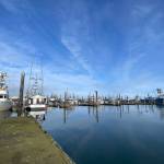 Float 19, in the background, is due to be axed under the Westport Marinas modernization plan as being insufficient for modern use.