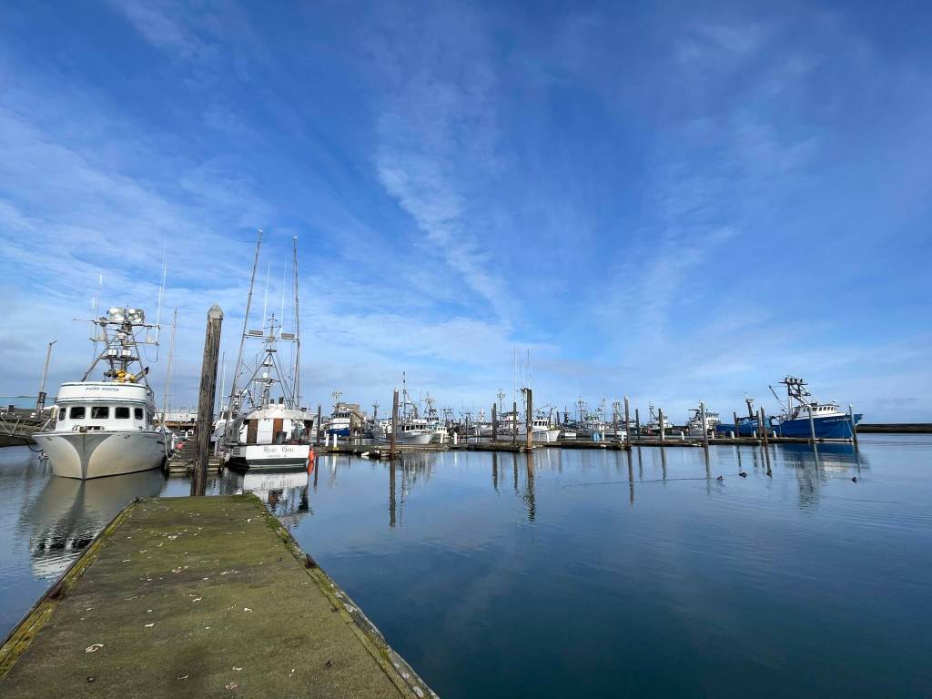 Float 19, in the background, is due to be axed under the Westport Marinas modernization plan as being insufficient for modern use.
