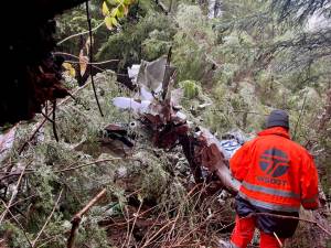 Searchers were able to locate a crashed aircraft near Queets 36 days after it went missing, according to a Washington State Department of Transportation news release. (Courtesy photo / WSDOT)