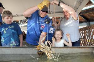 The Daily World file photo
Its shaping up to be a crab-centric day in Westport on Saturday, April 15, with the return of the Westport Crab Derby as well as the 33rd annual World Class Crab Feed and Crab Races. The Westport Marina events will see people compete for money crabs and fastest crab all while munching on fresh seafood.