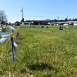 The Moore Wright Group staff planted 1,200 blue and silver pinwheels for National Child Prevention Month. Amber Wessel, warehouse supervisor for the nonprofit organization, said she thought the use of silver on the pinwheel was for the light at the end of the tunnel, in regard to stopping child abuse.