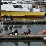 Throughout the 11-hour derby, more than 600 people gathered on the docks of the Westport Marina for a chance to catch some of the 900 Dungeness crab that were released into the waters below, some of which were tagged for a chance to win money.