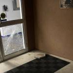 Courtesy photo / APD
A stepping stone used to break the window of the Aberdeen Police Departments sliding door is visible on the ground after the incident.