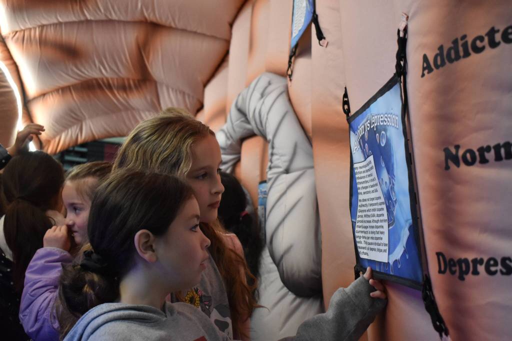 Clayton Franke / The Daily World
Elena Sotomish, front, and Hanna Rice read an informational sign on the inside of an inflatable brain.