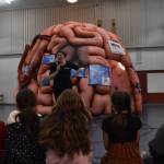 Clayton Franke / The Daily World
Central Elementary second-graders hear a presentation about neural function from Jenalie Raphelt of Medical Inflatable Exhibits, Inc.