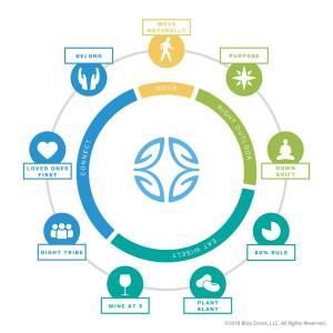 The Blue Zones Power 9 — nine common lifestyle attributes of the world's healthiest communities, as identified by Blue Zones. (Courtesy of Blue Zones, LLC)