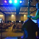 Matthew N. Wells / The Daily World
The view from behind Steve Leggett  on stand-up bass  allows for a view of the growing crowd at Celebrate Summer Jam. Leggett played bass on Saturday for The Akoostiks at the music festival that helped kick off an early preview of summer.