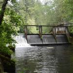Clayton Franke / The Daily World
The West Fork Hoquiam dam, constructed in 1956, diverts water to the city of Hoquiams treatment plant, accounting for about 10% of city drinking water supply. The city is searching for an alternate groundwater source so it can remove the dam and restore fish habitat.