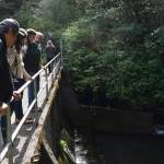 Clayton Franke / The Daily World
John Bryson, left, looks down at water flowing from the West Fork Hoquiam dam. He spent 30 years working in fisheries, including participation in a study on the West Fork in the 1980s and 90s. He is now on the Quinault Indian Nation tribal council.